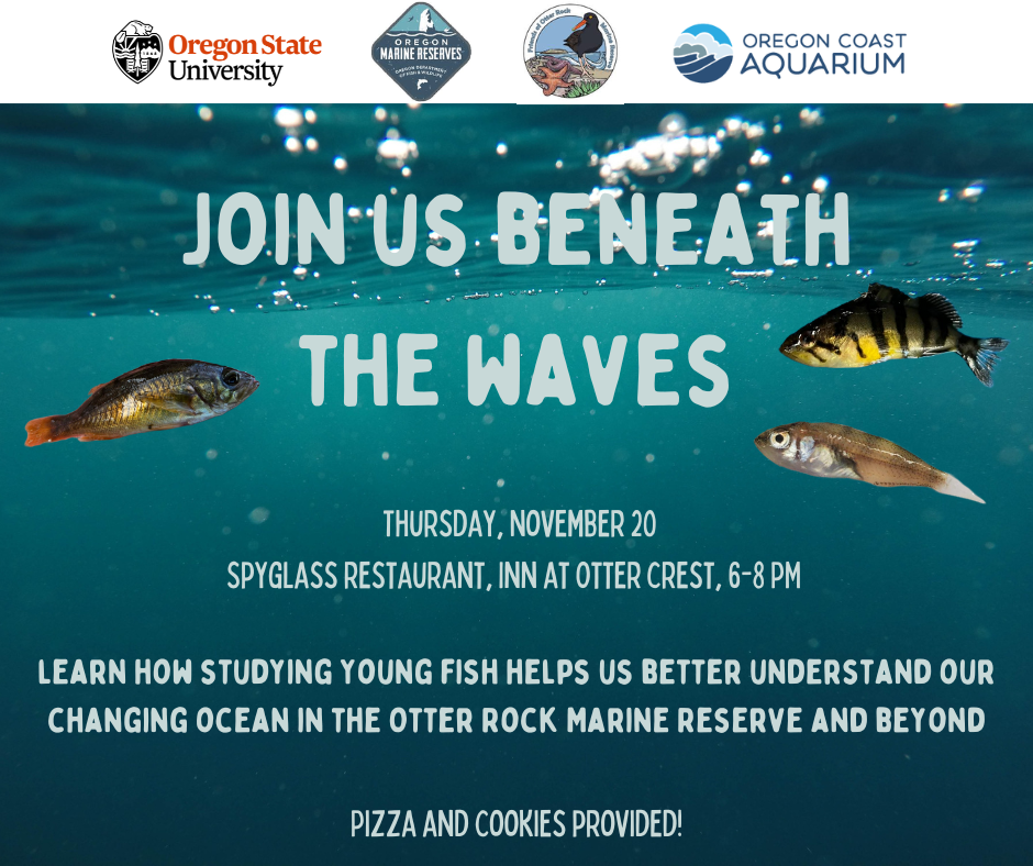 Beneath the waves juvenile fish presentation invitation