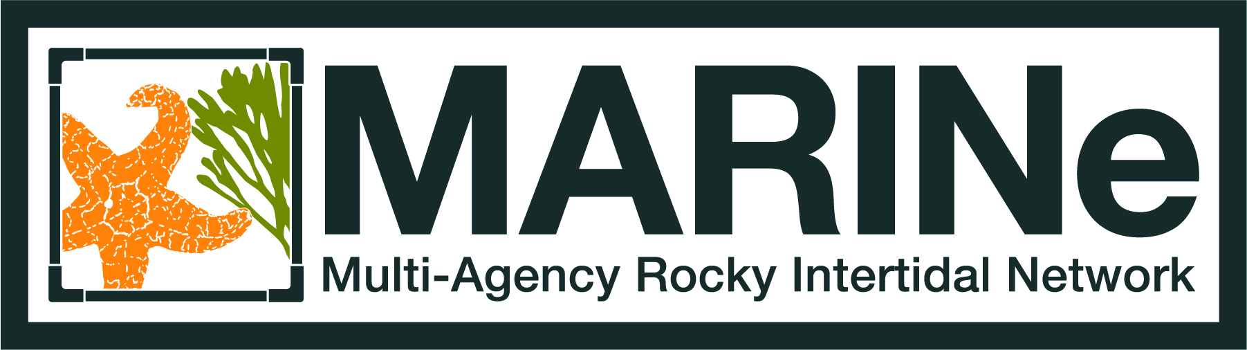 Multi-Agency Rocky Intertidal Network (MARINe)