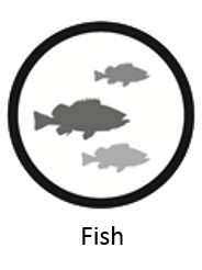 fish_icon