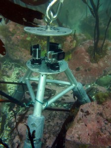 Video lander underwater sitting on seafloor.