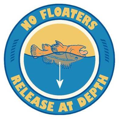 no floaters
